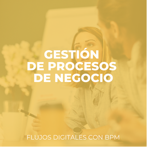 gestion de procesos de negocio gestion de procesos de negocio